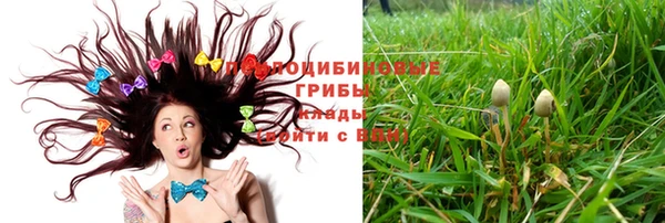 мет Абинск