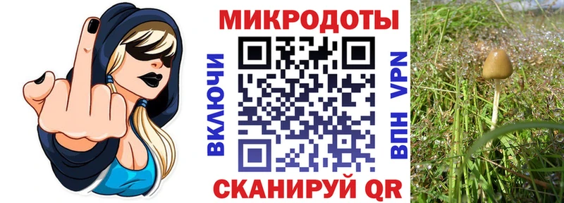 Псилоцибиновые грибы GOLDEN TEACHER Россошь