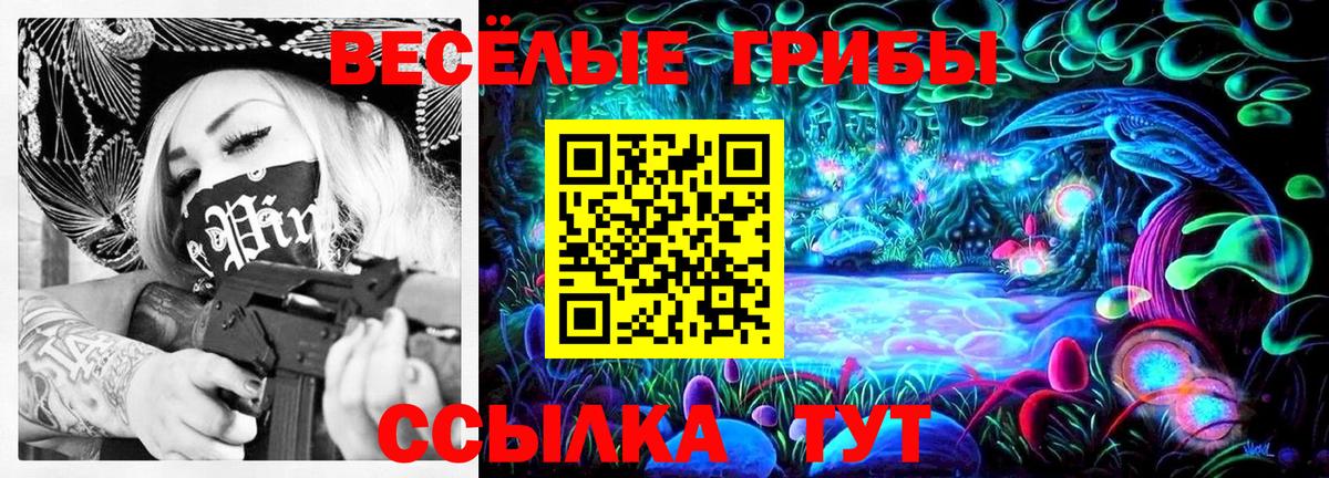Галлюциногенные грибы Cubensis Россошь