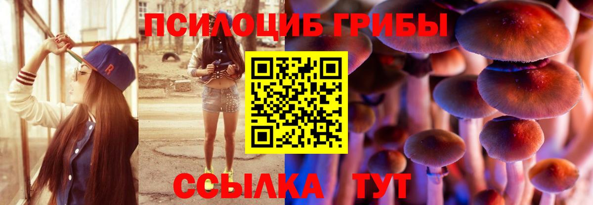 Галлюциногенные грибы Psilocybine cubensis  Вход с VPN  Галлюциногенные грибы ЛСД  Россошь 